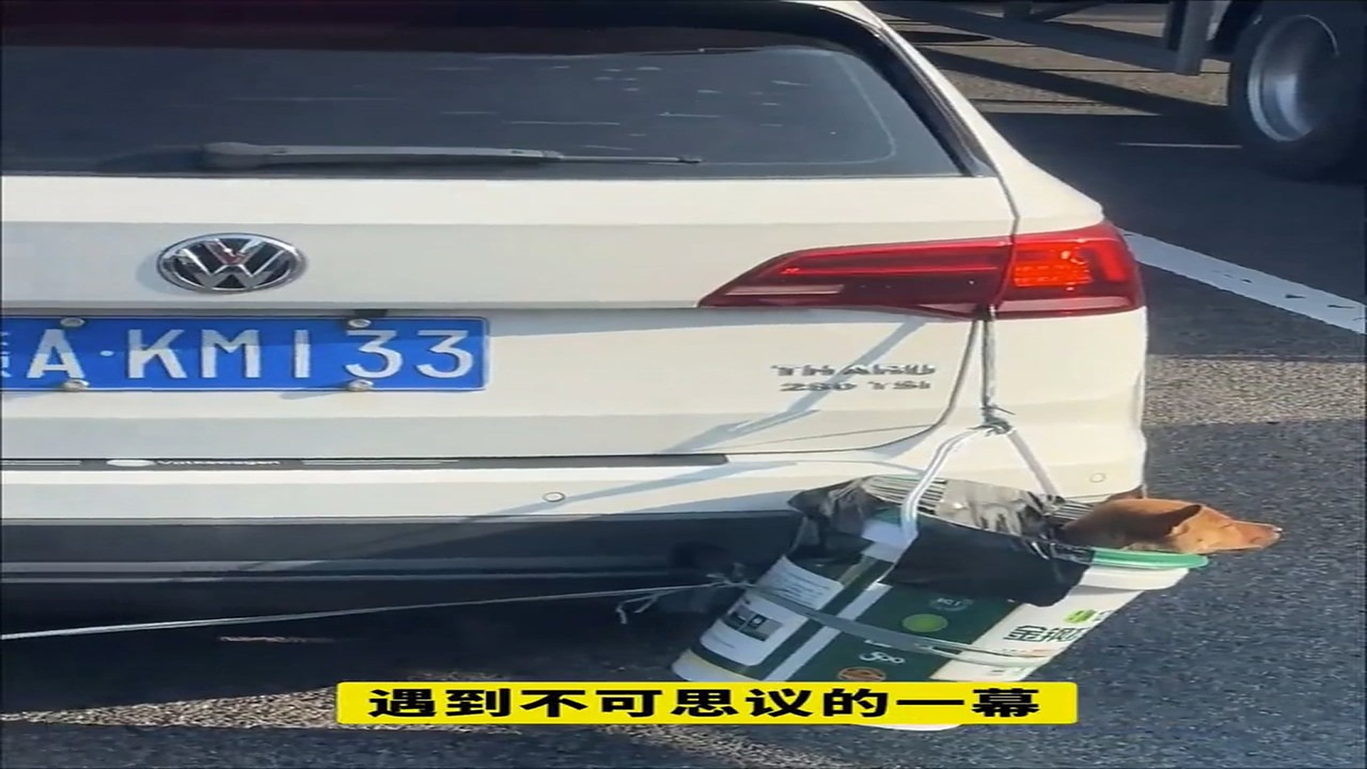 Full Video : N1707034_A Dog Dragged Behind A Car Was Finally Saved #DogRescue #Justice #Hope