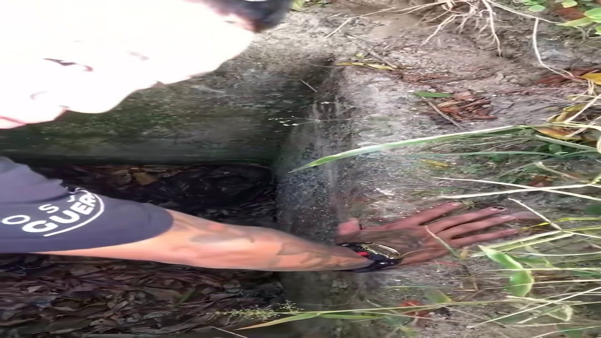 Full Video : N1908017_A Cruel Act Left This Dog Trapped In A Pit #DogRescue #AnimalRescue #SecondChance