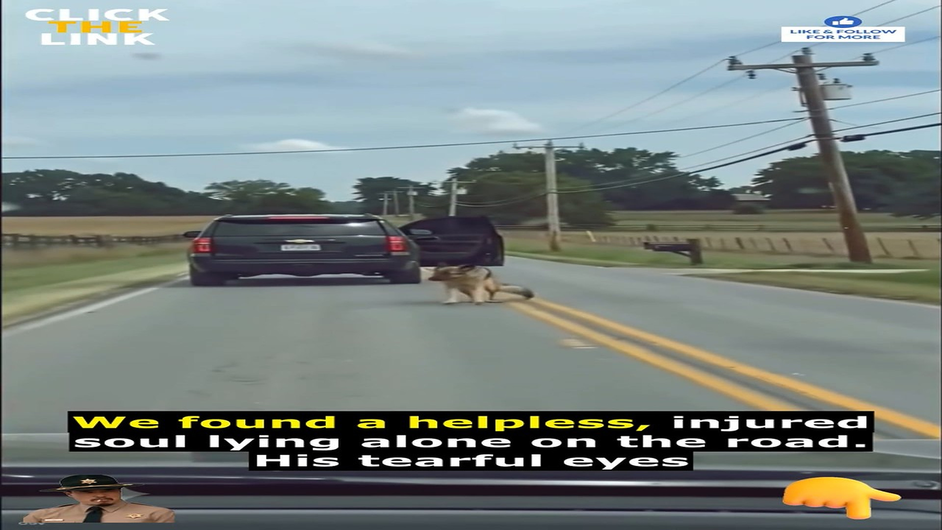 Full Video : N1708018_These Dogs Worked Together To Escape A Deep Hole #DogRescue #AnimalRescue