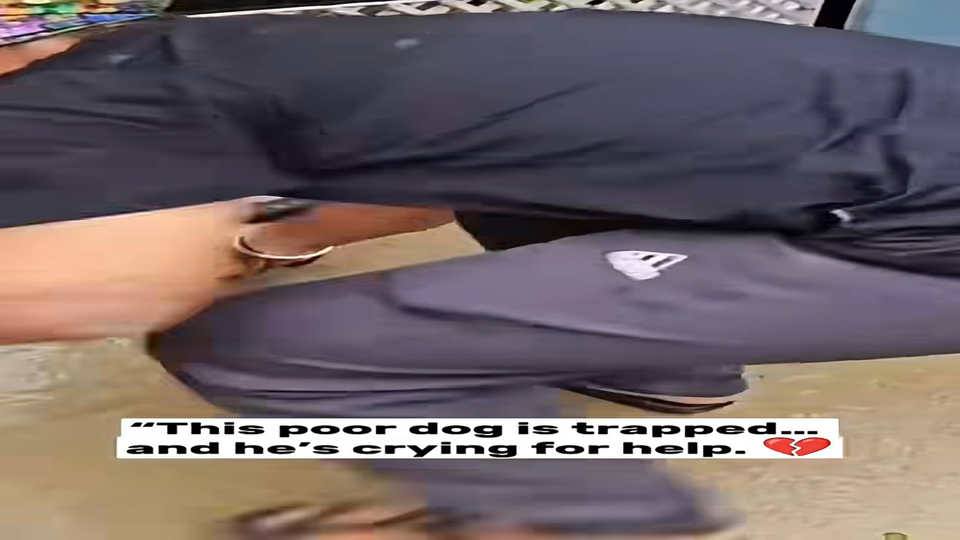 Full Video : N1609041_He Was Starving Until Someone Finally Stopped To Care #DogRescue #AnimalRescue #Heartwarming