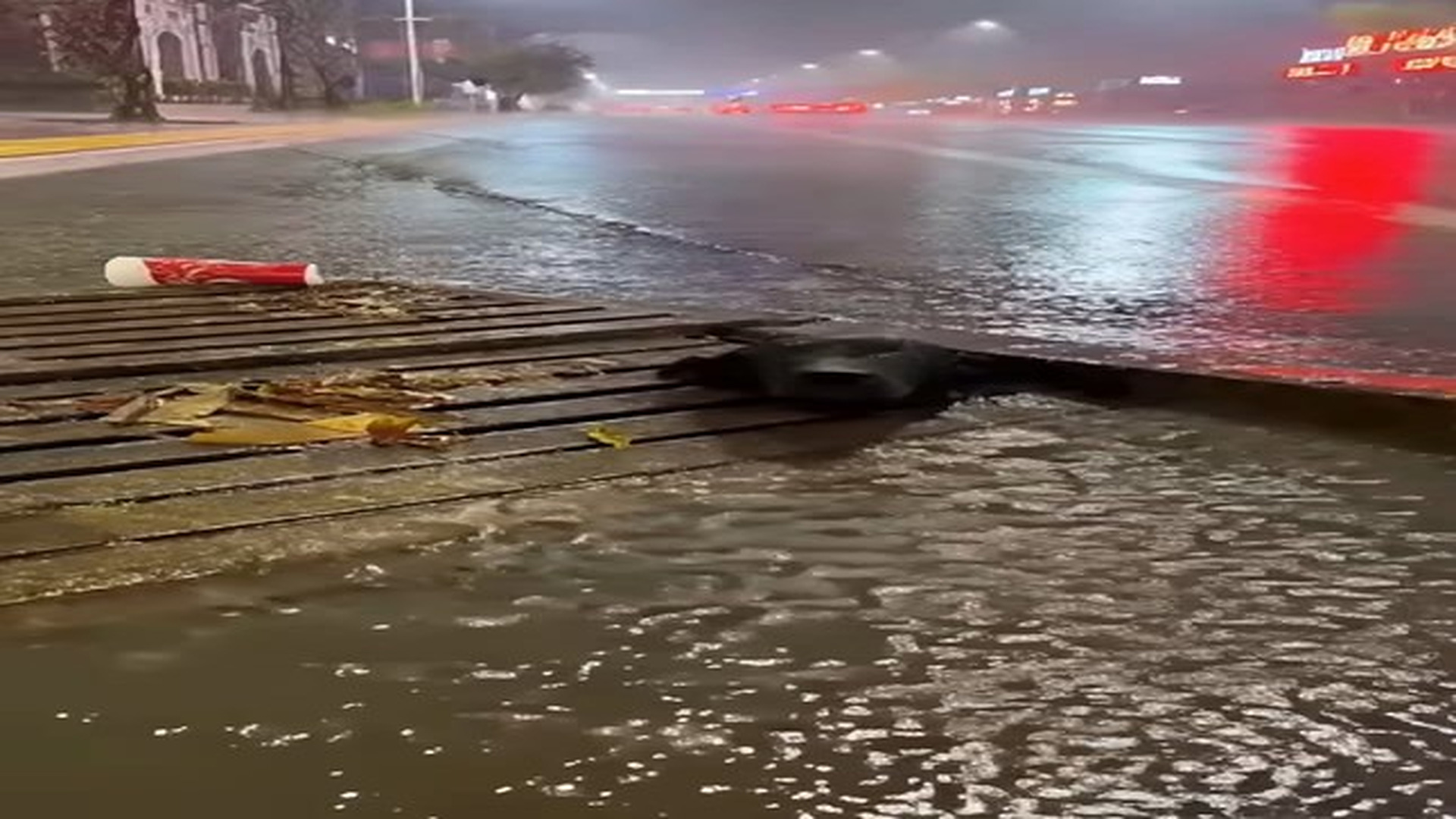 Full Video : N2209038_A Man Rescues A Dog Trapped In A Flooded Storm Drain DogRescue FloodRescue HeroicRescue - hình 1 | Fans Selena Gomez USA