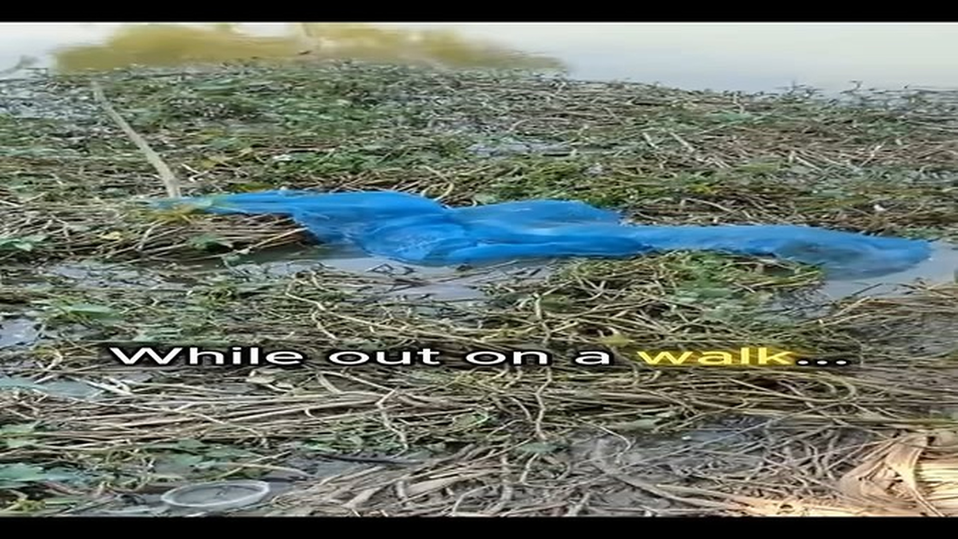 Full Video : 32 cảm xúc | N2209022_A Man Rescues A Drowning Puppy Trapped In A Net PuppyRescue DogRescue HeroicRescue - hình 8 | Fans Selena Gomez USA